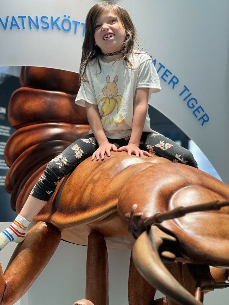 A grinning goblin of a girl astride a huge model of a water tiger bug