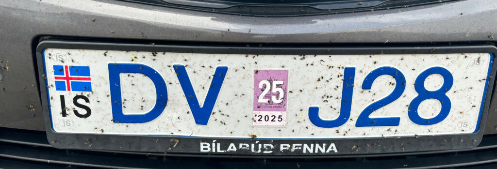 a license plate just peppered with dead bugs